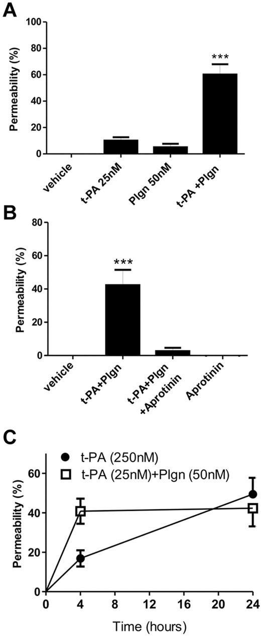 Figure 2. The human in vitro BBB is highly sensitive to t-PA–mediated in situ plasmin generation. (A) t-PA (25nM) and plasminogen (Plgn; 50nM) were added to the luminal chamber of the BBB either alone or in combination and permeability assessed after 24 hours (n = 4; ***P < .001 compared with all other groups). (B) Inhibition of t-PA–mediated in situ plasmin generation fully protects the BBB. t-PA (25nM) and Plgn (50nM) were added to the luminal chamber of the BBB with or without aprotinin (2μM), and permeability was assessed 24 hours later (n = 5; ***P < .001 compared with all other groups). (C) Time course analysis of BBB disruption at 4 and 24 hours after addition of t-PA (25nM) and Plgn (50nM; n = 5, open squares) or t-PA (250nM) alone (n = 4, full circles). Compared with 250nM t-PA alone, t-PA + Plgn mediate a faster progression of BBB opening that is maximal already at 4 hours. In all panels, bars/data points represent mean ± SEM.