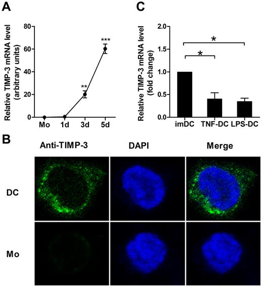 Figure 1. GM-CSF plus IL-4 induce TIMP-3 expression during differentiation of monocytes toward DCs. Freshly isolated monocytes (1 × 106 cells) were cultured in the presence of 1000 U/mL GM-CSF and 500 U/mL IL-4 for 5 days to generate imDCs, with 50 ng/mL TNF-α or 1 μg/mL LPS added for another 2 days to induce the DC maturation. (A) The TIMP-3 expression was assayed by quantitative RT-PCR in monocytes (Mo) and the cells after the induction for the indicated days. (B) Monocytes (Mo) and imDCs (DC) were stained with 4,6-diamidino-2-phenylindole (blue) and FITC-conjugated mAb (green) against TIMP-3 and then examined by confocal laser scanning microscopy system (Carl Zeiss LSM 710) with a Plan-Apochromat 63×/1.4 oil objective lens at room temperature. Images were processed using ZEN 2009 software (Carl Zeiss) and Adobe Photoshop CS5 (Adobe Systems). (C) Quantitative RT-PCR analysis of TIMP-3 mRNA in TNF-α–matured DCs and LPS-matured DCs, with imDCs as a control. Data are the mean ± SD of 3 independent experiments. *P < .05.