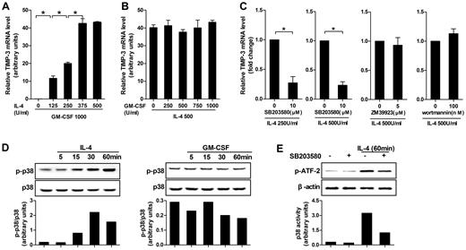 Figure 2. IL-4–induced TIMP-3 expression during DC differentiation was mediated by p38 MAPK pathway. (A) Monocytes were differentiated by standard dose of GM-CSF (1000 U/mL) in combination with gradient doses of IL-4 (0, 125, 250, 375, and 500 U/mL) for 5 days. (B) Alternatively, monocytes were stimulated by standard dose of IL-4 (500 U/mL) in combination with gradient doses of GM-CSF (0, 250, 500, 750, and 1000 U/mL) for 5 days. (C) Monocytes were preincubated with p38MAPK inhibitor SB203580 (10μM), JAK3 inhibitor ZM 39923 hydrochloride (5μM), or PI3K inhibitor wortmannin (100nM) for 1 hour. Then the cells were washed extensively and incubated with GM-CSF (1000 U/mL) and the indicated concentrations of IL-4 for 3 days. RNA extracts from the aforementioned cells differentiated under different conditions were analyzed for TIMP-3 mRNA by quantitative RT-PCR. (D) Monocytes were cultured with or without IL-4 or GM-CSF for the indicated times. Bottom insets: The quantitative analysis of p-p38/total p38 protein ratio, as measured by densitometry scanning of Western blots. Values are expressed in arbitrary units. (E) Monocytes were incubated with or without SB203580 (10μM) for 60 minutes and then stimulated with IL-4 (500 U/mL) for 60 minutes; kinase activity of p38 MAPK was measured with ATF-2 as a substrate. Data are the mean ± SD of 3 independent experiments. *P < .05.