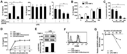 Figure 5. PI3K signal activation was crucial for TIMP-3–mediated suppression of IL-12 production but not for TIMP-3–mediated repression of CD86 induction. Various concentrations of wortmannin or DMSO were used to treat imDC for 1 hour before their further stimulation with LPS or with LPS plus TIMP-3. (A) Two days later, production of IL-12, IL-10, and TNF-α in the cell-free supernatants was assayed by ELISA. (B-C) Reversal of TIMP-3–mediated IL-12 suppression by PI3K inhibitor wortmannin in DCs. Panel C was calculated based on the data collected in panel B. (D) The time-course tracking of TIMP–3 induced IL-12 down-regulation and its reversal by PI3K inhibitor wortmannin. The culture supernatants were collected at different time points for IL-12 assay by ELISA. (E) Whole-cell lysates from imDCs with LPS (1 μg/mL) with or without TIMP-3 (50 ng/mL) treatment for 30 minutes were subjected to Western blot analysis of phosphorylated Akt. (F) The same experiment was performed as in panel A, and the expression of CD86 was analyzed by flow cytometry. (G) Expression of MARCH1 mRNA in DCs matured with LPS (1 μg/mL) with or without TIMP-3 (50 ng/mL) for indicated times was analyzed by quantitative RT-PCR. Data are the mean ± SD from 3 independent experiments. *P < .05.