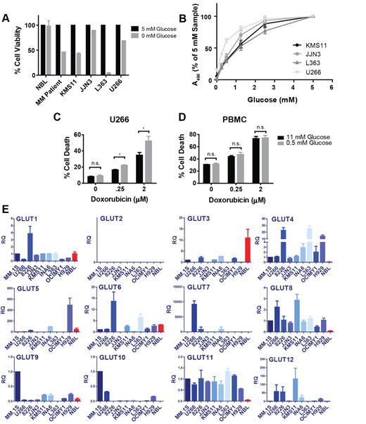 Figure 1. Myeloma cells exhibit glucose dependence and overexpression of GLUT4, GLUT8, and GLUT11 mRNAs relative to NBLs. (A) Primary myeloma cells, NBLs, and 4 MM cell lines were cultured in medium containing 0 or 5mM glucose for 48 (NBL, MM cell lines) or 72 (MM patient) hours. Cell viability was determined by flow cytometric analysis of annexin V/DAPI staining and normalized to 5mM samples. Data are mean ± SEM (n = 2 for MM cell lines and NBL, n = 1 for MM patient sample). (B) MM cell lines were cultured in various glucose concentrations for 72 hours. Viable cell quantities were determined by MTS assay (represented by absorbance at 490 nm) and normalized to 5mM samples. U266 cells (C) and normal PBMCs (D) were cultured in 11 or 0.5mM glucose-containing medium for 48 hours in the presence of the indicated concentrations of doxorubicin. Cell death was determined by DAPI staining. (E) Expression of GLUTs 1 to 12 was determined in 9 myeloma cell lines and NBLs (red bars) by quantitative real-time RT-PCR. Relative quantification (RQ) is displayed and normalized to the MM.1S cell line. For GLUT4, GLUT8, and GLUT11, comparisons between each MM cell line and NBLs exhibit 1-tailed P values less than .05, with the exception of GLUT4 expression in the OCIMY1 cell line. (B-E) Data are mean ± SEM (n ≥ 3). *P < .05. **P < .01. ***P < .005.