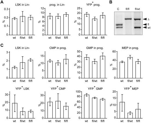 Figure 1. Cebpa-Cre–driven deletion of Dicer1 does not affect the fraction of myeloid-committed HSPCs in mice. (A) Percentage of LSK cells (Lin−Sca1+C-Kit+), progenitors (Lin−Sca1−C-Kit+), and EYFP+ progenitor cells of Dicer1wt (n = 3), Dicer1wt/fl (n = 4), and Dicer1fl/fl cells (n = 4) in E13.5 fetal livers. (B) EYFP+ cells from the BM of transplanted mice were sorted by flow cytometry. DNA was isolated and analyzed by PCR. DNA fragments from Cebpa-Cre;Dicer1wt/fl;R26-LSL-Eyfp and Cebpa-Cre;Dicer1fl/fl;R26-LSL-Eyfp are indicated by fl/wt and fl/fl, respectively. Tail DNA of Dicer1wt/fl was used as a positive PCR control (c) for the floxed and wild-type alleles. Recombined lox-p sites are indicated by Δ. (C) Top panel: Percentage of LSK cells (Lin−Sca1+C-Kit+), and CMPs, GMPs, and MEPs in the progenitor fraction (Lin−Sca1−C-Kit+) of Dicer1wt BM cells (n = 5), Dicer1wt/fl (n = 6), and Dicer1fl/fl cells (n = 7). Bottom panel: Percentage of EYFP+ cells in the indicated fractions.