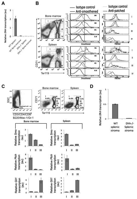 Figure 1. Components of the Hh pathway are expressed in erythroblasts in spleen and BM. (A) Quantitative RT-PCR of Dhh expression in WT and Dhh−/− spleen and bone marrow. (B) Histograms represent anti-Smo staining (left column) and anti-Ptch staining (right column), gated on erythroblast populations I to IV, as defined by Ter119 and CD71 expression (dot plots). Top panel represents WT BM; and bottom panel, WT spleen. (C) Quantitative RT-PCR analysis in sorted erythroblast populations I to III from WT BM. Dot plots represent sorting strategy. Cells were first magnetic bead–depleted to remove lymphocyte, macrophage, and granulocyte populations, and the negative populations (negative for CD3, CD4, CD8, B220, Mac-1, and Gr-1, left dot plot) were then stained with anti-CD71 and anti-Ter1119. Gates used for sorting are shown for BM (middle dot plot) and spleen (right dot plot). Bar charts represent Smo, Ptch, and Gli1 expression in BM (left) and spleen (right). (D) Quantitative RT-PCR of Dhh expression in WT and Dhh−/− splenic stroma.