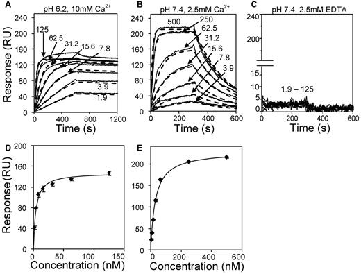 Figure 5. Kinetics and affinity of VWFpp binding to immobilized multimeric VWF. (A) Three hundred twenty response unit (RU) VWF was immobilized on the SPR sensor via anti-VWF mAb. Different concentrations of VWFpp (indicated in nanomolar units in panels A-C) were perfused over the substrate in MES (pH 6.2) binding buffer with 10mM CaCl2. (B) Studies identical to those in panel A except that 920 RU of VWF was immobilized and the running buffer was HEPES (pH 7.4) with 2.5mM CaCl2. (C) 320 RU of VWF was immobilized and running buffer was HEPES with 2.5mM EDTA(pH 7.4). Solid lines in panels A through C represent experimental data and dashed lines are fits to the 1:1 interaction model. Kinetic constants from fits are summarized in Table 1. Equilibrium KD analysis for panels A and B are shown in panels D and E, respectively.