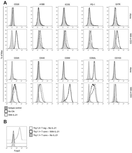 Figure 3. Effect of IL-21 on Tconv surface marker expression and Foxp3 induction. (A) BALB/c CD4+CD25− Tconv (2.5 × 104) and CD19+ B cells (5 × 104) were cultured alone, with anti-CD3, with IL-21, or with both for 15 to 18 hours. Surface marker expression on gated Tconv is shown. (B) BALB/c Thy1.1+CD4+CD25− T conv (2.5 × 104) were cultured with anti-CD3, CD19+ B cells (5 × 104), and Thy1.2+CD4+CD25+ Tregs (2.5 × 104) alone or in the presence of IL-21. Three days later, Foxp3 expression by Thy1.1+CD4+ cells and Thy1.2+CD4+ cells was determined. There was negligible Foxp3 induction in Tconv (Foxp3 expression in gated Tregs is shown as a positive control). Data are representative of at least 3 independent experiments.