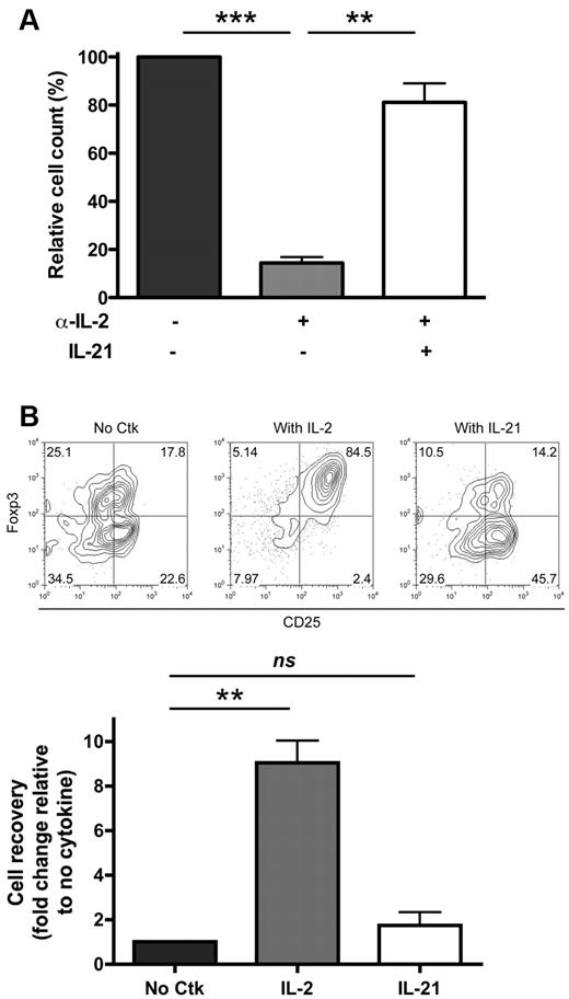 Figure 5. IL-21 can substitute for IL-2 in conventional, but not regulatory, T cells. (A) BALB/c CD4+CD25− Tconv (2.5 × 104) were cultured with anti-CD3 and 5 × 104 CD19+ B cells alone, with anti–IL-2 antibody, or with both anti–IL-2 Ab and 200 ng/mL IL-21. Relative Tconv cell counts are shown at day 3. The average Tconv cell number in the absence of cytokine or Tregs was 94 497 ± 8704. (B) BALB/c CD4+CD25+ Tregs (2.5 × 104) were cultured alone or in the presence of either 20 ng/mL IL-2 or 200 ng/mL IL-21. Representative staining for Foxp3 and CD25 and relative cell counts are shown at day 3. Data are representative of at least 3 independent experiments. **P < .01; ***P < .001. ns indicates not significant.