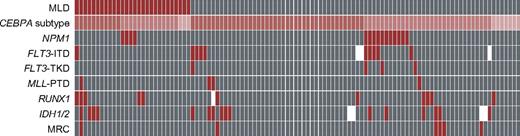 Figure 1. Frequency of cytogenetic alterations and of additional molecular mutations in MLD+ and MLD− patients. Red indicates a positive characteristic of the respective marker and gray indicates negativity. White cells show that the evaluation was not done for this patient. In the case of MRC,16 red shows the adverse-risk group and gray shows intermediate risk. Patients are depicted vertically. In cases of CEBPA subtype, dark red shows biallelic, medium red shows monoallelic, and bright red shows homozygous CEBPA mutations.