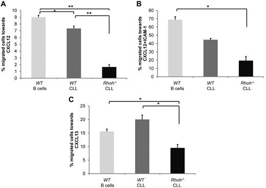 Figure 3. Significantly impaired CXCL12 and CXCL13-directed migration of Eμ-TCL1Tg;Rhoh−/−CLL cells. Percent migration of B220+ B cells or CD3−/CD5+/IgM+CLL cells after 4 hours in response to (A-B) CXCL12 and (C) CXCL13 in the absence (A-C) or presence (B) of 40 ug/mL ICAM-1. Shown is 1 representative experiment of 2 giving similar results. Data show mean ± SEM of triplicate wells (WT versus Rhoh−/−; *P < .05 and **P < .005, Student t test, n = 3).