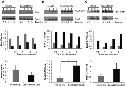 Figure 6. In vitro lenalidomide treatment of primary human CLL cells results in decreased RhoH expression and increased RhoA and Rac activation. Primary human CD19+CLL samples were treated with vehicle or 0.5μM lenalidomide for the indicated time points. CLL content was ≥ 90% in all cases. One representative experiment of 5 is shown. (A) Western blot analysis for RhoH protein expression. (B-C) RhoA and Rac activities determined by pull-down assays. In each panel the protein of interest or active (GTP-bound) protein is shown in top panel and the loading control or total protein is shown in the bottom panel. The bar graphs in the middle panel show ratio of RhoH to β-actin and activated GTP-bound RhoA or Rac protein to total RhoA or Rac protein based on densitometric measurements of the respective Western blot bands. The bar graphs in the bottom panel summarize the respective ratios obtained in all 5 patients (gray bars: vehicle versus black bars: lenalidomide treatment; mean ± SEM; (A) P = .09; (B) *P = .002; (C) P = .24, Student t test, n = 5).