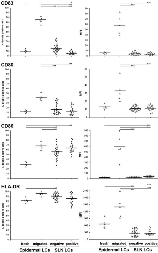 Figure 1. Flow cytometry analyses of LCs in SLN from melanoma patients. SLN single cell suspension was obtained as described3 with modifications.4 Cells were collected in PBS, without enzymatic treatments or culturing, and immediately processed for flow cytometry analysis. Five-color cell staining was performed after cell membrane permeabilization with antibodies against Langerin PE (Immunotech), CD80 FITC and CD86 Pe-Cy5 (BD Pharmingen), CD83 APC and HLA-DR Pe-Cy7 (BioLegend). Cells were analyzed using FACS Canto with FACSDiva Version 6.0 software (BD Immunocytometry Systems). Isotype-matched Abs were used as negative controls. Results are expressed as percentages of double positive cells (left panels) and mean fluorescence intensity (right panels) among total gated Langerin+ cells, from freshly isolated and in vitro-migrated epidermal LCs (n = 5; from normal skin dermatomes of informed patients undergoing plastic surgery) and negative and positive SLNs LCs (n = 27 and n = 16, respectively). Bars represent mean value and asterisks indicate P value by 2-side Student t test statistical analysis (*P < .05; **P < .01; ***P < .001, respectively).
