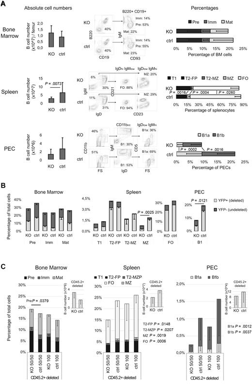 Figure 1. KAP1-deficient mice display reduced numbers of mature B cells. (A) Bone marrow (top), spleen (middle), and PE (bottom) cells from 8- to 12-week-old CD19-Cre/KAP1flox (KO) and littermate wt/KAP1flox control mice (ctrl) were counted and analyzed by flow cytometry. Left panels, total number of B cells; middle panels, representative flow cytometric analysis; right panels, average and SD of the percentage of the indicated populations, n ≥ 15. (B) CD19-Cre/YFPflox/Kap1flox (KO) and CD19-Cre/YFPflox/Kap1floxhet (ctrl) mice analyzed by flow cytometry as in panel A. Percentages of YFP+ and YFP− cells in the depicted populations are given as average and SEM (n = 5). (C) Chimeric mice obtained by transplantation of 50% CD45.2+ CD19-Cre/YFPflox/Kap1flox plus 50% CD45.1+ wild-type (KO 50/50; n = 8), 50% CD45.2+ CD19-Cre/YFPflox/KAP1wt plus 50% CD45.1+ wild-type (ctrl 50/50; n = 8), 100% CD45.2+ CD19-Cre/YFP-flox/Kap1flox (KO 100; n = 3) and 100% CD45.2+ CD19-Cre/YFPflox/Kap1wt (ctrl 100; n = 4) lineage-depleted cells were analyzed by flow cytometry 6-10 weeks after injection. Only CD45.2+ deleted (YFP+) cell frequencies are shown. For CD45.2+ nondeleted (YFP−) frequencies, see supplemental Figure 1. Subpopulations were analyzed as in panel A. Average and SD are shown. P values are for the indicated populations comparing KO50/50 with ctrl 50/50. Pre indicates Pre-B cell progenitors; Imm, immature B-cell progenitors; Mat, mature B-cell progenitors; T1, transitional 1 progenitors; T2-FP, transitional 2 follicular progenitors; and T2-MZP, transitional 2 MZ progenitors. Also see supplemental Figure 1. P values analyzed by Mann-Whitney test.
