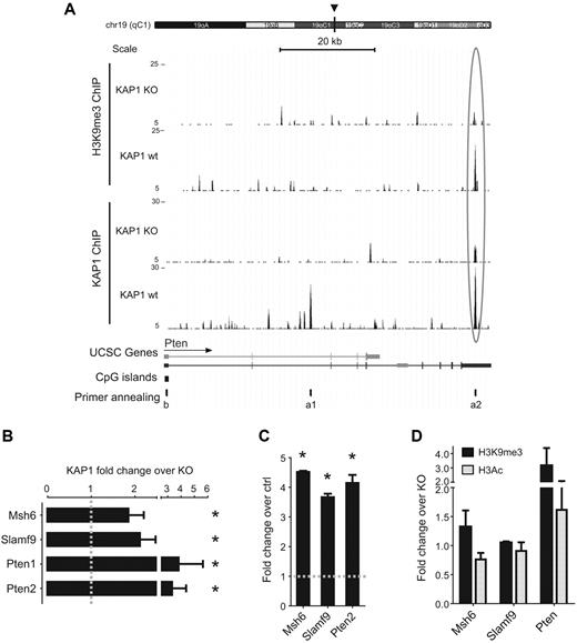 Figure 5. KAP1-mediated control of genes dysregulated in KAP1-deficient B cells. (A) Pten genomic locus with KAP1 and H3K9me3 ChIP/seq signal for Kap1 wild-type and KO B splenocytes. Chromosome and relative position (arrowhead), scale, UCSC-based transcripts (most abundant in black, least abundant in gray), CpG islands (suggestive of promoter regions), and position of Q-PCR primers used for validation in panels B, C, and D are depicted here as a1, a2, and b, respectively. Arrow indicates sense of transcription. (B-D) Chromatin from wild-type and KO B splenocytes was immunoprecipitated with KAP1-specific Abs (B), H3K9me3-specific Abs (C-D black bars), or H3Ac-specific Abs (D gray bars). Q-PCR in panels B, C, and D was performed with primers amplifying the region depicted in panel A and supplemental Figure 4 as a and b, respectively. Enrichment of immunoprecipitated samples is expressed as total input fraction (fold change over ctrl; C) normalized on the KO signal (fold change over KO; B,D). Average of the fold change in the control gene (GAPDH) was set at 1 (gray line). Averages plus SEM are shown (n = 4). *P < .05 compared with control gene signal by 1-tailed Mann-Whitney test. Also see supplemental Figure 5.