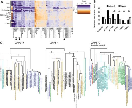 Figure 6. KRAB-ZFP expression in B cells. (A) Heat map of KRAB-ZFP (and control genes) that were significantly more expressed in B cells than in other hematopoietic lineages as assessed by NanoString nCounter direct RNA quantification. For the staining strategy used to sort the different populations, see supplemental Methods. HPC indicates hematopoietic progenitor cells; red, erythrocyte lineage; and Myelo/Mega, myeloid/megakaryocyte. For a description of the B-cell population, see Figure 1 legend. Arrowheads indicate KRAB-ZFP analyzed in panel B. (B) Q-PCR analysis performed on cDNA from thymus and B-enriched splenocytes (spleen B), using primers specific for the indicated KRAB-ZFP (indicated by arrowheads in panel A and supplemental Figure 6A). P = .0046; b, P = .0022; c, P = .0022; and d, P = .041 by Mann-Whitney test. Averages plus SEM are shown (n = 6). (C) Phylogenetic trees of the depicted KRAB-ZFP based on ZF exon sequence alignment. Each protein is defined by the genome: mouse, mmus; human, hsap; macaque, mmul; marmoset, cjac; cow, btau; dog, cfam; horse, ecab; rat, rnor; guinea pig; cpor; rabbit, ocun; elephant, lafr; and opossum, mdom. Query protein is depicted as index, in green in the left and middle panels and in red in the right panel. Green indicates mouse paralogs present in the list of differentially expressed ZFP in B cells (supplemental Figure 4); blue, 1:1 orthologs; aqua, closest rodent paralogs; and mustard, closest human genome matches. In the right panel, only rodents and human hits are shown (rodents + human). Also see supplemental Figure 6.