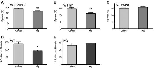 Figure 2. Mig inhibits BM proliferation through CXCR3 in vivo and in vitro. Normal mice (n = 6) were injected once daily for 5 consecutive days with 15 μg/kg recombinant Mig protein or with PBS as control after 5-FU treatment. BMNCs and lin− cells were collected within 24 hours after the final injection, and their cell cycle status was analyzed by flow cytometry. (A-B) Both BMNCs and lin− cells of WT mice were depressed significantly during the S phase; however, in CXCR3 KO mice (C; n = 4), Mig did not interfere with the cell cycle. (D-E) BMNCs were collected from healthy WT or CXCR3 KO mice for colony assays with PBS (control) or 30 ng/mL recombinant HuMig (Mig). Mig significantly inhibited colony formation in WT mouse but had no effect on KO mouse. *P < .05, **P < .01. Shown are means + SEM of 4 separate tests in WT mice and 3 in KO mice.