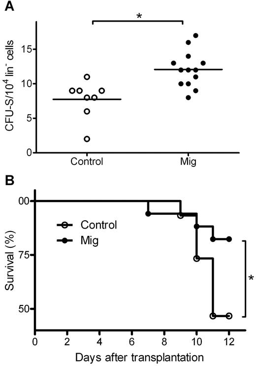 Figure 3. Mig pretreatment protects lin− cells from chemotherapy in CFU-S assays. Donor lin− cells were isolated and treated with Ara-C and then transplanted into irradiated recipient mice. Mig group cells were preincubated with the 300 ng/mL recombinant Mig protein. Before incubation with Ara-C, control cells were supplemented with equal volumes of PBS. (A) Eleven days after transplantation, mice from both groups were killed, and CFU-spleen numbers were counted. In the Mig group (n = 13), significantly higher CFU-spleen numbers were observed than in the PBS group (n = 8; **P = .002). (B) Mice injected with Mig-treated cells showed higher survival rates (*P = .039). Data are representative of 3 independent experiments (n = 7-16).