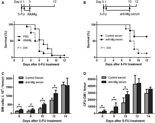 Figure 4. Effects of Mig and anti-Mig antibody after 5-FU treatment. Mice received a single dose 5-FU (300 mg/kg) on day 0 and then were treated for 3 days intravenously with either Mig (15 μg/kg; n = 16) or PBS as control (n = 15; A top). Mice treated with Mig showed lower survival rates than the control mice (P = .048; A bottom). When mice had been treated with either control (nonsensitized rat serum; n = 7) or anti-Mig rat serum (n = 11), the anti-Mig group showed significantly higher survival rates than mice in the control group (P = .005; B). (C-D) Anti-Mig serum significantly accelerated the recovery of BM (C) and increased colony counts per femur (D) compared with controls. Mice were injected with 225 mg/kg 5-FU on day 0 and treated with either control serum or anti-Mig serum. BM mononuclear cells were counted and cultured for GM-CFU on days 8, 9, 10, 12, and 14. Each point represents the mean + SEM in 2 independent experiments (n = 6; *P < .05).