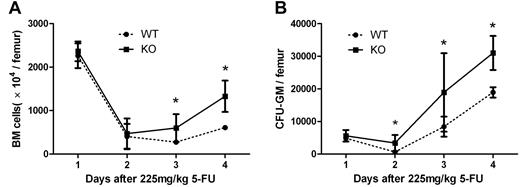Figure 5. Regeneration of bone marrow after 5-FU treatment in WT and CXCR3 KO mice. WT and CXCR3 KO mice were treated with 225 mg/kg 5-FU on day 0. On days 0, 7, 9, and 11, BM (A) and CFU-GM (B) were analyzed for hematopoietic regeneration. KO mice demonstrated a significantly better BM recovery than WT mice. Each point represents the mean ± SEM in 2 independent experiments (n = 6; *P < .05).