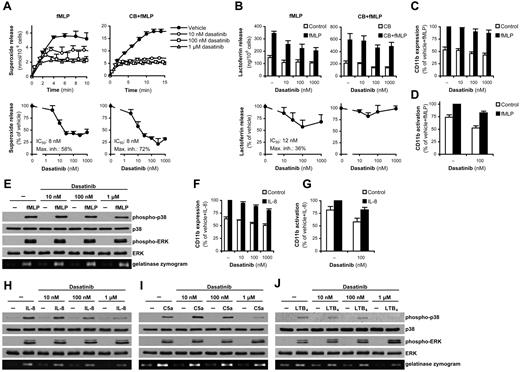 Figure 4. Dasatinib partially inhibits neutrophil functions triggered by G-protein–coupled receptors. Human neutrophils pretreated with the indicated concentrations of dasatinib with or without 10μM cytochalasin B (CB) were stimulated with 1μM fMLP (A-E), 100 ng/mL of human IL-8 (F-H), 50 ng/mL of C5a (I), or 50 ng/mL of LTB4 (J), followed by measurement of the respiratory burst (A), lactoferrin release (B), flow cytometric analysis of the expression (C,F) and activation (D,G) of CD11b, or assessment of phosphorylation of the ERK or p38 MAPKs by immunoblot and analysis of gelatinase release by in-gel zymography (E,H-J). The kinetic/bar graphs in panels A and B show mean and SD of representative experiments, and the dose-response curves in these panels and bar graphs in panels C and D and F and G show means and SEM of the percent response. Mean fluorescence intensity values of isotype control–stained samples were subtracted in panels C and D and F and G, and the resulting fluorescence was expressed as a percentage of that in the indicated samples. Each set of data were obtained from 3-5 independent experiments. Panels E and H through J are representative of 3 independent experiments. The mean and SEM of phosphorylation of the various MAPKs in the stimulated samples after subtraction of unstimulated controls in the presence of 10nM, 100nM, and 1μM dasatinib was, respectively: 103% ± 10%, 99% ± 14%, and 77% ± 17% (E; p38 MAPK); 99% ± 9%, 94% ± 6%, and 100% ± 2% (E; ERK); 90% ± 17%, 53% ± 5%, and 16% ± 5% (H; p38 MAPK); 123% ± 39%, 112% ± 11%, and 169% ± 42% (H; ERK); 102% ± 52%, 75% ± 27%, and 24% ± 12% (I; p38 MAPK); 98% ± 5%, 98% ± 12%, and 195% ± 55% (I; ERK); 113% ± 53%, 79% ± 29%, and 62% ± 60% (J; p38 MAPK); and 89% ± 14%, 173% ± 32%, and 236% ± 49% (J; ERK) of that in the absence of dasatinib.