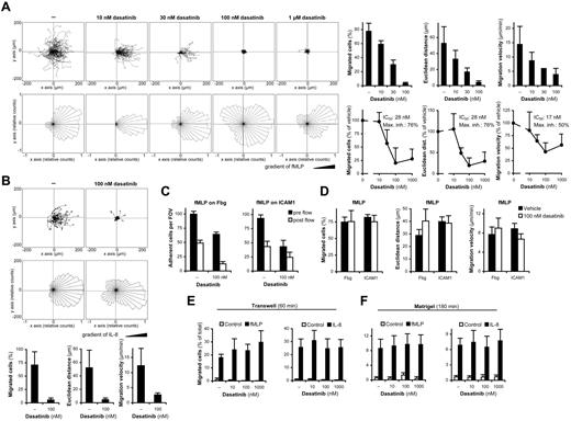 Figure 5. The effect of dasatinib on neutrophil migration. (A-B) Human neutrophils pretreated with the indicated concentrations of dasatinib were allowed to migrate toward 10μM fMLP (A) or 1 μg/mL of human IL-8 (B) on a fibrinogen-coated coverslip in a Zigmond chamber assay. Representative single-cell tracks, rose diagrams of direction of movement, and the results of quantitative analysis are shown. Bar graphs show mean and SD of representative experiments, and the dose-response curves show mean and SEM of the percent response from 263-476 cells from 3-7 independent experiments. (C-D) Adhesion (C) and migration (D) of neutrophils in the presence of 1μM fMLP in a flow chamber assay (all samples were treated with fMLP). Panel C shows the number of adherent cells per field of view (FOV). Panel D shows migration characteristics of cells that remained adherent through the entire 10-minute flow period. Data in panels C and D show mean and SEM from 5 independent experiments. (E-F) Cells were allowed to migrate toward 100nM fMLP or 10 ng/mL of IL-8 through FCS-coated Transwell filters (E) or a Matrigel matrix (F). Data in panels E and F show mean and SEM from 4-5 independent experiments.