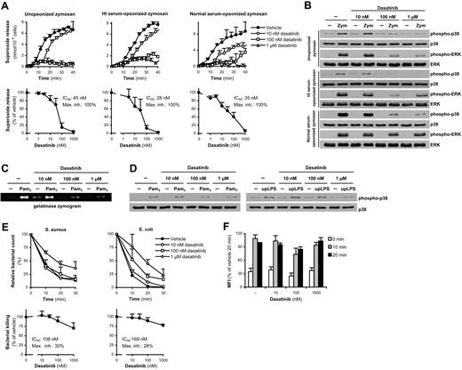 Figure 6. The effect of dasatinib on recognition of innate immune ligands and antimicrobial activity. Human neutrophils pretreated with the indicated concentrations of dasatinib were stimulated with 10 mg/mL of zymosan (Zym) that was opsonized with normal or heat-inactivated (HI) human serum or left unopsonized (A-B), 1 μg/mL of Pam3CSK4 (Pam3; C-D), or with 1 μg/mL of ultrapurified LPS (upLPS; D), followed by assessment of respiratory burst (A), ERK and p38 MAPK phosphorylation (B,D), or gelatinase release (C). (E-F) Killing of S aureus or E coli (E) and phagocytosis of GFP-expressing S aureus (F) by human neutrophils pretreated with the indicated concentrations of dasatinib. Kinetic curves in panels A and E show mean and SD of representative experiments, and the dose-response curves in these panels show mean and SEM of the percent response from 3-6 independent experiments. Panels B through D show representative results from 3 independent experiments. Panel F shows mean and SEM of mean fluorescence intensity (MFI) values from 3-4 independent experiments after subtraction of samples without bacteria at the 0 time point and expressed as a percentage of the indicated sample. The mean and SEM of phosphorylation of the various MAPKs in the stimulated samples after subtraction of unstimulated control values in the presence of 10nM, 100nM, and 1μM dasatinib was, respectively: 62% ± 27%, 5% ± 2%, and 5% ± 3% (B; unopsonized Zym; p38 MAPK); 81% ± 23%, 43% ± 9%, and 52% ± 26% (B; unopsonized Zym; ERK); 42% ± 19%, 7% ± 7%, and 5% ± 5% (B; HI serum-opsonized Zym; p38 MAPK); 56% ± 24%, 37% ± 16%, and 72% ± 38% (B; HI serum-opsonized Zym; ERK); 73% ± 12%, 9% ± 4%, and 4% ± 4% (B; normal serum-opsonized Zym; p38 MAPK); 84% ± 1%, 69% ± 2%, and 89% ± 11% (B; normal serum-opsonized Zym; ERK); 160% ± 38%, 138% ± 57%, and 55% ± 24% (D; Pam3); and 154% ± 31%, 72% ± 24%, and 15% ± 14% (D; upLPS) of that in the absence of dasatinib.