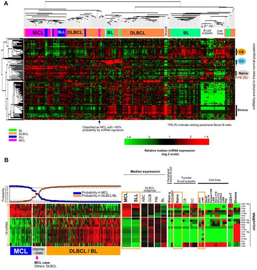 Figure 1. MicroRNA expression profile and classifier for MCL. (A) Unsupervised hierarchical clustering of lymphoma samples, normal cells, and cell lines. MCL, SLL, DLBCL, and BL formed largely distinct clusters. A stromal cell–associated miRNA signature was more highly expressed in DLBCL and BL patients. There were also significant differences in the expression of miRNA associated with naive B cells, resting B cells, CB cells, and CC cells, with miRNA associated with naive and resting B cells being more highly represented in MCL and SLL patients. (B) An miRNA classifier derived using a Bayesian algorithm resulted in a 19-miRNA classifier (6 up-regulated and 13 down-regulated miRNAs) was able to separate most MCL patients from DLBCL and BL patients. The expression of this miRNA classifier is illustrated in SLL, normal cells, and cell lines. Orange boxes highlight naive B-cell and MCL cell lines.