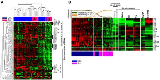 Figure 2. Differences in miRNA expression between MCL and SLL. (A) Unsupervised hierarchical clustering of MCL and SLL samples showed 2 separate clusters of SLL patients with each having unique miRNA profiles. (B) A 26-miRNA signature differentiates MCL from SLL, with 23 miRNAs including 2 polycistronic miRNA clusters, miR106b-25 (miR-106b and miR-25) and miR106a-363 (miR-363 and miR-20b) being significantly up-regulated in MCL compared with SLL.