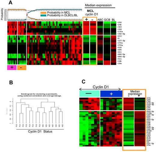 Figure 5. miRNA expression in cyclin D1–positive and –negative MCL. (A) MCL classifier obtained from cryopreserved tissues showed similar predictive power in FFPE tissues and cyclin D1–negative MCL classified as MCL. (B) Unsupervised clustering based on miRNA profiles showed distinct clusters of cyclinD1-negative and cyclin D1–positive MCL patients. (C) Differential expression of miRNA between cyclin D1–negative and cyclin D–positive MCL patients.