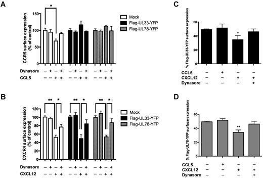 Figure 3. Effect of dynasore on CCL5- and CXCL12-induced CCR5 and CXCR4 internalization, respectively. (A-B) Flow cytometry analysis of cell-surface CCR5 (A) or CXCR4 (B) using 1/85a Alexa Fluor 647–conjugated anti–human CCR5 (A) or PE-conjugated anti–human CXCR4 (B) in THP-1 cells expressing mock, Flag-UL33-YFP or Flag-UL78-YFP and pretreated or not with dynasore (100μM) for 1 hour before 15 minutes CCL5 (100nM) or CXCL12 (10nM) stimulation. The proportion of surface CCR5 (A) and CXCR4 (B) was calculated by comparing the signal in nonpermeabilized and permeabilized cells in 3 independent experiments. Values were normalized to the levels seen in each group in the absence of ligand and dynasore. (C-D) Flow cytometry analysis of cell-surface UL33 and UL78 using rabbit anti-Flag as primary antibody and rabbit-Cy5 as secondary antibody in THP-1 cells expressing mock, Flag-UL33-YFP (C) or Flag-UL78-YFP (D) after CCL5 (100nM) or CXCL12 (10nM) stimulation for 15 minutes pretreated or not with dynasore (100μM) for 1 hour. The proportion of surface UL33 or UL78 was calculated by comparing the signal in nonpermeabilized and permeabilized cells in 3 independent experiments. Mock = pcDNA3 expression vector. Statistical differences compared with unstimulated cells were assessed using the Student t test (*P < .05; **P < .01).