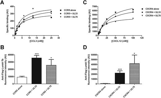 Figure 4. Effect of UL33 and UL78 expression on CCR5 and CXCR4 ligand binding properties. Saturation isotherms of fluorescence labeled CCL3 (A) and CXCL12 (C) binding in HEK293 cells expressing Halo-Myc-CXCR4 (C, closed squares) or Halo-Myc-CCR5 (A, closed squares) receptors alone or with Flag-UL33-YFP (closed circles) or Flag-UL78-YFP (closed triangles). Specific binding is shown; nonspecific binding was determined in the presence of 1μM CXCL12 for CXCR4 and 10μM of Maraviroc for CCR5. (B-D) Flag-UL33-YFP or Flag-UL78-YFP expression was assessed using Lumi4-Tb labeled anti-Flag antibodies. Data shown are representative of 3 experiments. Statistical differences compared with mock nucleofected cells were assessed using the Student t test (*P < .05; ***P < .001).