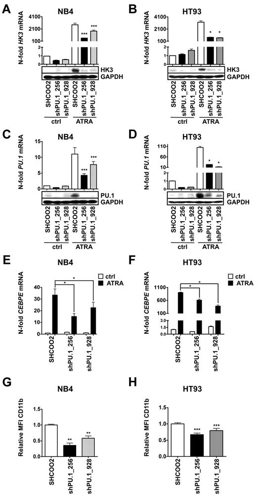 Figure 2. Transcriptional regulation of HK3 by PU.1 in NB4 and HT93 APL cell lines. NB4 and HT93 cells were stably transduced with nontargeting shRNA (SHC002) or shRNAs targeting PU.1 (shPU.1_256, shPU.1_928) and differentiated with 1μM ATRA for 6 days. HK3 and PU.1 mRNA expression as well as protein expression were measured in NB4 (A,C) or HT93 (B,D) cells by real-time quantitative RT-PCR and Western blotting. CEBPE mRNA expression was measured in NB4 (E) and HT93 (F) cells by real-time quantitative RT-PCR. CD11b flow cytometric analysis of NB4 (G) and HT93 (H) cells. ***P < .0001; **P < .01; *P < .05 (all P values Mann-Whitney U tests).