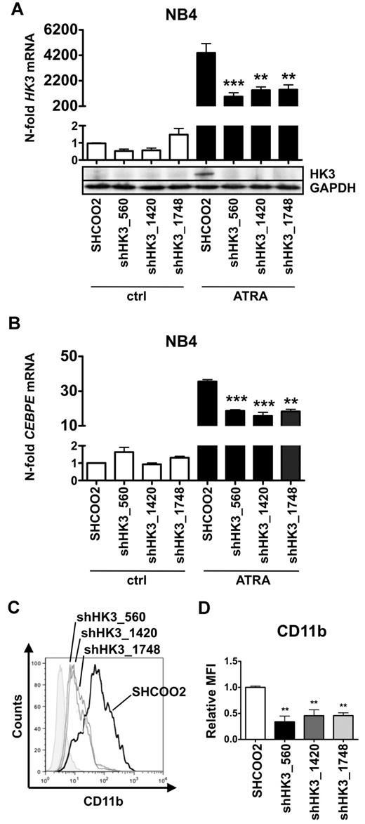 Figure 4. Inhibition of HK3 by shRNA impairs neutrophil differentiation of APL cells. NB4 cells were stably transduced with nontargeting shRNA (SHC002) or shRNAs targeting HK3 (shHK3_560, shHK3_1420, shHK3_1748) and differentiated with 1μM ATRA for 6 days. HK3 (A) and CEBPE (B) mRNA levels were measured by real-time quantitative RT-PCR and are given as n-fold changes compared with untreated SHCOO2 cells and normalized to the housekeeping gene HMBS. HK3 protein expression was measured by Western blotting. GAPDH expression was used as loading control. (C-D) CD11b flow cytometric analysis of NB4 control (SHCOO2) and HK3 knockdown cells.***P < .0005; **P < .005