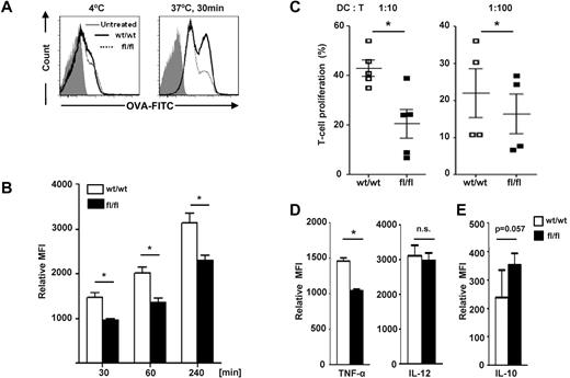 Figure 4. p15Ink4b-deficient BM-DCs have decreased immunostimulatory functions. (A) BM-DCs were cultured at 37°C in the presence of FITC-labeled OVA antigen. Cells incubated at 4°C for 30 minutes with FITC-labeled OVA antigen were used as a negative control. Representative histograms at the 30-minute time point are shown. (B) BM-DCs from p15Ink4bwt/wt-LysMcre (wt/wt) or p15Ink4bfl/fl-LysMcre (fl/fl) mice were harvested at the indicated times after culture in the presence of OVA. Mean fluorescence intensity values are indicated. (C) BM-DCs from wt/wt or fl/fl mice were mixed with CFSE-labeled allogeneic T lymphocytes (ratio 1:10 and 1:100) and cocultured for 5 days. T-cell proliferation was assessed using flow cytometry. Numbers indicate the percentage of CFSElow T cells. Data are shown as means ± SD from 3 independent experiments. (D-E) BM-DCs were activated with LPS (100 ng/mL) in the presence of GolgiStop (BD Biosciences) for 6 hours, stained for surface molecules that were CD11c+CD11b+, and then analyzed for the expression of TNF-α, IL-12 (D), and IL-10 (E). Cells were fixed and permeabilized according to the BD Cytofix/Cytoperm (BD Biosciences) protocol. Relative mean fluorescence intensity values from 2 independent experiments (n = 4) are plotted. Data are shown as means ± SD. *P < .05; n.s. indicates not significant.