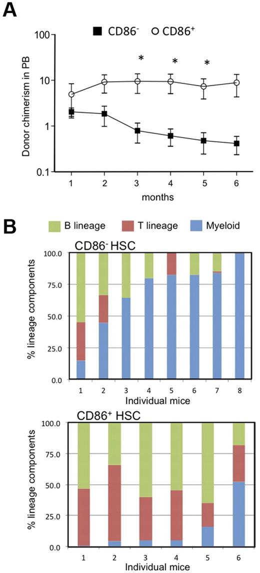 Figure 2. CD86− HSCs effectively engrafted the CD150+ CD48− LSK compartment in transplant recipients but produced fewer blood cells and especially B lymphocytes than the CD86+ cohort. (A) Subsets of CD150+ CD48− LSK stem cells were resolved and sorted according to CD86 expression. Twenty of each subset were transplanted separately to lethally irradiated recipients along with 2 × 105 whole BM rescue cells. Chimerism with respect to phenotypically defined HSCs was found 6 months later. Not shown are data points for 3 mice in each group in which chimerism was < 0.01%. Peripheral blood samples were tested at monthly intervals, and percentages of donor type cells are shown for CD86+ (open circles) and CD86− (closed squares) HSC transplant recipients. Statistically significant (*P = < .05) differences were found from the third month. (B) The bars show percentages of the donor type cells that expressed myeloid, (GR-1 and/or CD11b), B (B220 plus CD19) or T (CD3) lineage markers in the blood of individual recipients. Note that myeloid cells predominated in 6 of 8 recipients of CD86− HSCs, whereas CD86+ HSCs were balanced or lymphoid skewed.