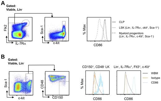 Figure 6. CD86 is useful for discriminating stem/progenitor cells regardless of mouse strain and developmental age. (A) LSK as well as lymphoid and myeloid progenitors in E14.5 fetal liver of C57BL6 mice were identified by flow cytometry. The histograms show selective expression of CD86. (B) Lin−, CD150+, CD48−, c-Kit+ HSCs in BM of Balb/c mice were gated as shown (left panels). Single parameter histograms to the right show CD86 expression. Similar results for lymphoid progenitors defined as Lin−, Flt3+, IL-7Rα+, c-Kit+ are shown in the far right panel, along with whole BM (WBM).