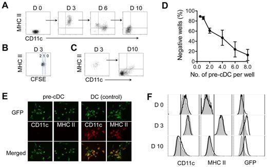 Figure 1. Proliferating cDCs generate CD11c− MHC class II− progeny. Purified BM pre-cDCs were labeled with CFSE and cultured on irradiated stroma derived from neonatal fibroblasts; their progeny were recovered at 3, 6, and 10 days for analysis of CD11c and MHC class II expression (A) and number of cell divisions as determined by CFSE dilution (B). (C) CD11c+MHCII+ progeny from day 3 cultures in panel A were sorted and seeded on new stroma. Left and right dot-plots show CD11c and MHC class II expression on sorted day 3 cells before culture and their progeny 7 days later. (D) Limiting dilution clonal analysis of purified GFP+ pre-cDCs cultured on S17 stromal monolayers for 10 days. Wells with clones containing ≥ 6 cells were deemed positive. Each data point is the mean ± SD of 4 independent experiments. (E) Fluorescence microscopy of clones derived from a single GFP+ pre-cDC at 10 days and stained with anti-CD11c or anti-MHC class II. GFP+ cDC clones were used as positive controls for CD11c and MHC class II expression. Original magnification, ×20. (F) Pre-cDCs from CD11c-Cre+Rosa26-EGFP transgenic mice (white histograms) and their CD11c-Cre− littermate controls (gray histograms) were cultured on stroma. Histograms show CD11c, MHC class II, and GFP expression on the indicated days. Data are representative of 3 independent experiments.