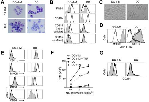 Figure 2. Characteristics of DC-d-Ms. Purified pre-cDCs were cocultured on irradiated stroma and recovered 10 to 12 days later for analysis. In some wells, TNF was added for the final 24 hours of culture. Splenic cDCs or pre-cDCs–derived cDCs were used as controls. (A) Giemsa-staining of cytospin preparations (original magnification 40×). (B) Expression of indicated antigens (white histogram) and isotype control (gray histogram). (C) Morphology of sorted DC-d-Ms and cDCs after overnight incubation in GM-CSF (original magnification 40×). (D) Phagocytosis of OVA conjugated with FITC (gray histogram). MFI indicates mean fluorescence intensity. (E) Expression of indicated surface antigens after 16-hour exposure to LPS (white histogram) or control (gray histogram). Vertical black lines indicates staining with isotype controls. (F) Stimulation capacity in mixed allogeneic lymphocyte reactions. Results are expressed as mean cpm × 103 ± SD. (G) Expression of CD284 (white histogram) and isotype control (gray histogram). Data are representative of > 3 independent experiments.