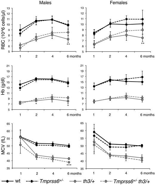 Figure 3. Effect of Tmprss6 haploinsufficiency on hematologic parameters of thalassemic mice. Time course analysis of RBC count, Hb levels and MCV of male and female WT, Tmprss6+/−, Hbbth3/+ (th3/+) and Tmprss6+/−Hbbth3/+ (Tmprss6+/−th3/+) mice. Mean values of 4 to 8 animals for sex and genotype are graphed and error bars indicate SD. Asterisks refer to a statistically significant difference between Hbbth3/+ and Tmprss6+/−Hbbth3/+ mice (*P < .05; **P < .01; ***P < .005). For complete statistical analysis see supplemental Table 3.