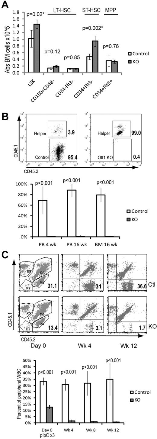 Figure 1. Despite normal numbers of LT-HSCs, Ott1-deleted BM cannot compete with WT BM during engraftment or maintenance. (A) Absolute cell numbers in BM determined by flow cytometry of LSK-gated populations stained with either CD150/CD48 or CD34/Flt3 (Flk2) antibodies. BM was harvested from Ott1flox/null Mx1-cre (KO) or littermates possessing a WT Ott1 allele (control) 6 weeks after pIpC injection. (B) Competitive repopulation of lethally irradiated homozygous CD45.1 recipients transplanted with donor marrow from either Ott1flox/null Mx1-cre (Ott1 KO) or littermates possessing a WT Ott1 allele (control) 6 weeks after pIpC injection. Donor marrow was injected in 4:1 excess with WT CD45.1/45.2 helper marrow. y-axis represents percentage of graft arising from the donor (CD45.2 homozygous) in peripheral blood granulocytes (PB) or BM during the stated posttransplantation interval (n = 4). Flow panels (above) are representative CD45.2-gated PB samples at 16 weeks after transplantation. (C) Maintenance after transplantation. Unexcised BM from Ott1flox/null Mx1-cre (KO) or littermates possessing a WT Ott1 allele (control) was engrafted into lethally irradiated CD45.1 recipients 1:1 with CD45.1/CD45.2 competitor marrow and then excised with pIpC. Percentage is homozygous CD45.2 donor in peripheral blood leukocytes at the stated interval after pIpC (n = 5). Representative flow panels show CD45.2 donor percentage (bottom right quadrant) in PB before and after pIpC. Ctl, top panels; KO, bottom panels. Graphs represent mean values, and error bars represent SD.