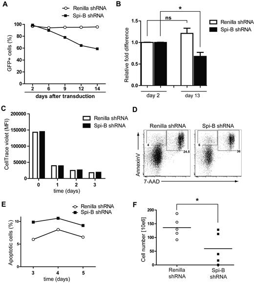 Figure 2. Spi-B is required for CAL-1 cell survival and proliferation. (A) CAL-1 cells were transduced with Spi-B shRNA or control renilla shRNA and cultured for 14 days. Cell growth was determined by flow cytometric analysis to measure the percentages of GFP+ cells every 3 days. (B) Mean values of 3 experiments in which GFP+ cell percentages were determined at 13 days after transduction. Values were normalized to the percentage of GFP+ cells at day 2 after transduction (A; *P = .026). (C) CAL-1 cells transduced with Spi-B shRNA or control renilla shRNA were stained with the CellTrace violet proliferation kit. Mean fluorescence intensity (MFI) was followed for 3 days by flow cytometry. (D) To assay for apoptosis, annexin V–PE and 7-AAD double staining was performed on CAL-1 cell transduced with Spi-B shRNA or control renilla shRNA 5 days after sorting GFP+ cells. Numbers represent percentages of early apopotic cells (annexin V+7-AAD−) and late apoptotic/necrotic cells (annexin V+7-AAD+) in the indicated gates. One representative experiment of 3 is displayed. (E) The percentages of apoptotic cells were measured over time in Spi-B shRNA or control renilla shRNA transduced cells after sorting GFP+ cells. One representative experiment is shown of 2. (F) RAG-2−/−γc−/− immunodeficient mice were injected subcutaneously in the right and left flank with 0.25.106 Cal-1 cells expressing Spi-B shRNAs or renilla shRNAs. Tumor growth is shown as absolute cell numbers measured 20 days after engraftment (*P = .037). Each dot/square represents 1 mouse.