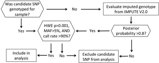 Figure 1. Candidate SNP genotype determination algorithm. HWE indicates Hardy-Weinberg equilibrium; MAF, minor allele frequency; and SNP, single-nucleotide polymorphism.