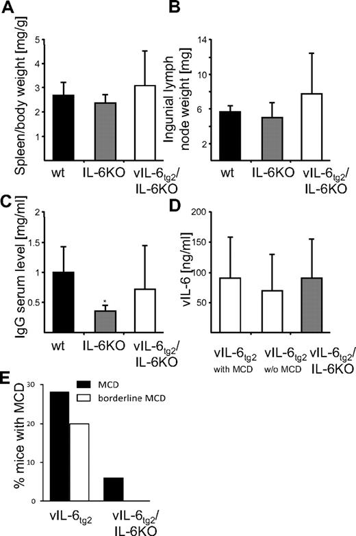 Figure 7. vIL-6tg2 mice deficient for mIL-6 do not display MCD-like phenotypes. (A) Average ratio of spleen to body weight determined from wild-type (n = 7), IL-6–deficient (IL-6KO; n = 6), and vIL-6tg2/IL-6–deficient mice (vIL-6tg2/IL-6KO; n = 6). (B) The averaged sum of inguinal lymph nodes per mouse determined from the same wild-type, IL-6KO, and vIL-6tg2/IL-6KO mice as in Figure 2B. (C) Average serum IgG levels as measured by ELISA from wild-type (n = 7), IL-6KO (n = 7), and vIL-6tg2/IL-6KO mice (n = 8). (D) Determination of vIL-6 serum concentrations of vIL-6tg2 mice with (n = 7) or without (n = 6) MCD and vIL-6tg2/IL-6KO mice (n = 11) by ELISA. (E) The percentage of mice with MCD (filled) or borderline MCD (open) in vIL-6tg2 (n = 25) and vIL-6tg2/IL-6KO (n = 17) mice. Error bars represent SD. *P ≤ .01. All mice were 13 to 20 weeks old.