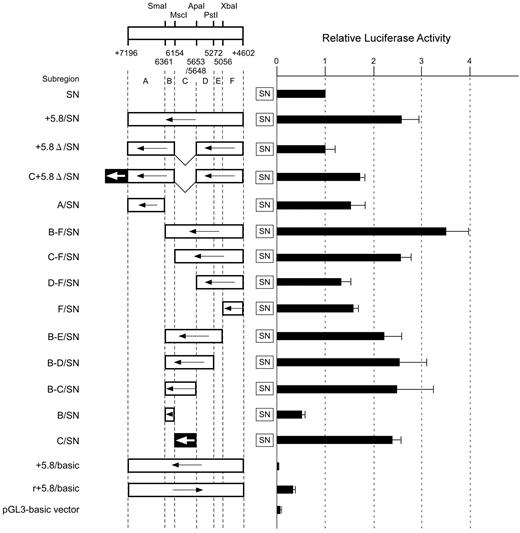 Figure 2. Summary of the relative luciferase activities of reporter constructs containing various parts of DNA region +5.8 in the ABO gene. Transient transfection experiments were performed using reporter plasmids in which various parts of region +5.8 were subcloned upstream of the ABO promoter sequence. Below the map of restriction enzyme sites with positions relative to the translation start site of exon 1, region +5.8 is subdivided into regions A through F. Construct names are indicated to the left of the square, and the locations of the fragments that were inserted upstream of the ABO promoter sequence in a direction opposite to that of the promoter are shown. Arrows to the left represent the inserts oriented in a direction opposite to that of the promoter. The v-shaped segment represents deleted sequences. The +5653 to +6154 sequence (subregion C) is indicated by solid box with an arrow. Each construct as depicted on the left was transiently transfected into K562 cells and the luciferase activity obtained was normalized, as shown in the right panel. To facilitate comparison of the corresponding reporter activity of each construct, the activity of reporter plasmid SN was assigned an arbitrary value of 1.0. The results are expressed as an average of the relative activity observed. The mean values and SDs were calculated from more than 3 independent experiments.