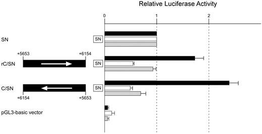 Figure 3. Subregion C shows an enhancer potential specific to cells of erythroid lineage. Transient transfection experiments were carried out using K562 cells, KATOIII cells, and fibroblasts. Transfection into K562 cells was performed using 2.5 μg of firefly luciferase reporter plasmid and 0.01 μg of pRL-SV40 Renilla luciferase reporter vector for each analysis. Transfection into KATOIII cells was carried out using 6 μg of firefly reporter and 0.01 μg of pRL-SV40 Renilla reporter. Transfection into fibroblasts was performed using 1 μg of firefly reporter and 0.01 μg of pRL-SV40 Renilla reporter. DNA fragment C between positions +5653 and +6154 was inserted upstream of the ABO promoter sequence in the same direction as that of the promoter in construct rC/SN, and in the opposite direction in construct C/SN. Arrows to the left represent the inserts oriented in a direction opposite to that of the promoter. To facilitate comparison of the corresponding reporter activity of each construct among the cells, the activity of the SN vector was assigned an arbitrary value of 1.0 in each cell line. The results are expressed as an average of the relative activity observed. The mean values and SDs were calculated from more than 3 independent experiments. Solid box indicates K562 cells; clear box, KATOIII cells; and gray box, fibroblasts.