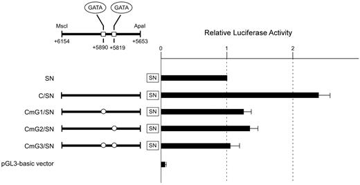 Figure 5. Mutations of the GATA motifs reduce the regulatory potential of subregion C. The wild-type subregion C construct C/SN or mutant constructs CmG1/SN, CmG2/SN, and CmG3/SN carrying “GA” to “CT” substitutions in the GATA motif were transiently transfected into K562 cells. Boxes indicate the locations of putative GATA-binding sites. The clear circles represent mutated sequences of the GATA sites. To facilitate comparison of the corresponding reporter activity of each construct, the activity of reporter plasmid SN was assigned an arbitrary value of 1.0. The results are expressed as an average of the relative activity observed. The mean values and SDs were calculated from more than 3 independent experiments.