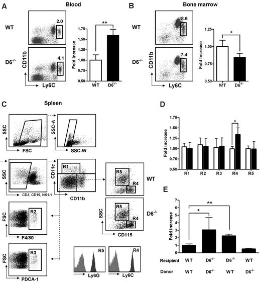 Figure 1. Lack of D6 on the nonhematopoietic compartments causes increased number of inflammatory monocytes. (A) Percentage in CD45+ gate (left panel) and fold increase of absolute number (right panel) of CD11b+/Ly6Chigh monocytes recovered from blood in D6−/− (black bar) versus WT mice (white bar). (B) Fold increase of percentage of CD11b+/Ly6Chigh monocytes in total BM CD45+ leukocytes of D6−/− (black bar) and WT mice (white bar). (C) Gating strategy for evaluating the percentage and absolute numbers of leukocytes in mouse spleen. Dead cells, doublets, and CD3+, CD19+, and NK1.1+ cells were excluded for further analysis. Cell labeling with anti-CD11b and CD11c allows identification of myeloid DCs (R1: CD11b+/CD11chigh), red pulp macrophages (R2: F4/80+), and plasmacytoid DCs (R3: PDCA-1+) in the CD11cdim/CD11bdim gate. Inflammatory monocytes (R4) and neutrophils (R5) are distinguished within the CD11bhigh population as SSClow/CD115+/Ly6Chigh and SSChigh/CD115−/Ly6Ghigh, respectively. Gates are based on isotype controls. (D) Fold increase of the absolute number of cells in spleen of D6−/− (black bar) versus WT (white bar) mice based on gated strategy used in panel C. (E) Fold increase of the absolute number of CD11b+/Ly6Chigh monocytes in blood of D6−/− (Ly5.2) mice reconstituted with WT Ly5.1 or D6−/− BM cells and in WT mice (Ly5.1) reconstituted with D6−/− BM cells versus WT mice (Ly5.1) reconstituted with WT mice (Ly5.2). In all panels, data are representative of 4 independent experiments (n = 10 mice/experiment). *P < .05. **P < .005.