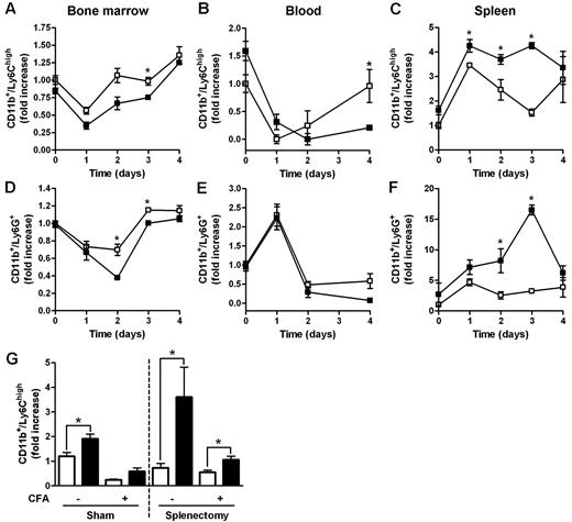 Figure 2. Increased accumulation of myeloid cells in the spleen of D6−/− mice after CFA injection. FACS analysis of BM, spleen, and blood harvested from WT and D6−/− mice injected subcutaneously with 200 μL of CFA in the right flank. BM CD11b+/Ly6Chigh monocytes (A) and CD11b+/Ly6G+ granulocytes (D), expressed as fold increase of the percentage of CD45+ leukocytes, recovered at indicated time points. Fold increase of the absolute number of monocytes (B-C) and granulocytes (E-F) in blood and spleen of D6−/− (■) versus WT (□) mice. (G) Fold increase of the absolute number of CD11b+/Ly6Chigh monocytes in blood of D6−/− (■) versus WT (□) mice after 4 weeks of splenectomy or sham operated before and after 48 hours CFA treatment. In all panels, data are representative of 2 independent experiments (n = 4 mice/time point). Data are mean ± SD. *P < .05 comparing D6−/− and WT animals.