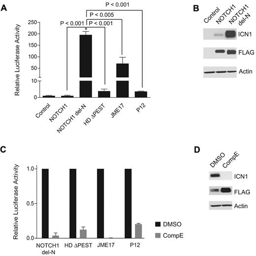 Figure 2. The NOTCH1 del-N mutant shows high levels of NOTCH1 signaling and is sensitive to inhibition of the γ-secretase complex. (A) CSL luciferase reporter assay of ICN1 activity in HeLa cells transfected with empty vector (control) or expressing wild-type NOTCH1 (NOTCH1), NOTCH1 del-N deletion mutant (NOTCH1 del-N), NOTCH1 HD ΔPEST (HDΔPEST), NOTCH1 Jurkat JME17 (JME17), or NOTCH1 P12 (P12) mutant alleles. Reporter activity is shown as the fold change compared with wild-type NOTCH1. Error bars represent SD. P values were derived from Student t test. (B) Western blot analysis of 293T cells expressing empty vector (Control) or FLAG-tagged forms of wild-type and del-N mutant NOTCH1 alleles. ICN1 protein was detected with the NOTCH1 Val1744 Ab, which specifically recognizes the γ-secretase–cleaved activated form of NOTCH1. Total NOTCH1 levels were detected with an anti-FLAG Ab. Actin is shown as a loading control. (C) Transactivation activity of NOTCH1 del-N, HDΔPEST, Jurkat JME17, and P12 NOTCH1 alleles in a CSL luciferase reporter assay in HeLa cells treated with vehicle (DMSO) or a γ-secretase inhibitor (compound E, 250 nM). Reporter activity is shown as the fold reduction compared with vehicle-treated cells for each allele. Error bars represent SD. (D) Western blot analysis of activated NOTCH1 (ICN1) levels in 293T cells treated with compound E (250nM) for 48 hours shows inhibition of NOTCH1 processing and clearance of activated intracellular NOTCH1. ICN1 protein was detected with NOTCH1 Val1744 Ab, total NOTCH1 levels were detected with anti-FLAG Abs, and actin is shown as a loading control.
