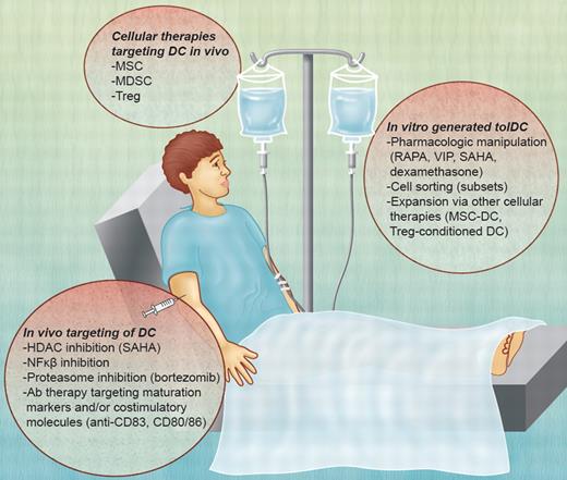 Figure 3. Potential DC-based therapies for GVHD. TolDCs can be used as a negative cellular vaccine after in vitro generation via their pharmacologic manipulation, cell sorting (subsets), or expansion after interaction with other immune regulatory cell populations. In vivo, DCs can be targeted by the inhibition of molecular pathways (HDAC; NF-κB) or the expression of maturation markers or costimulatory molecules (eg, CD80/CD86; CD83). Other cellular therapies, such as MSCs, MDSCs, and Treg, mediate immunosuppressive effects through DCs. VIP indicates vasoactive intestinal peptide. Professional illustration by Alice Y. Chen.