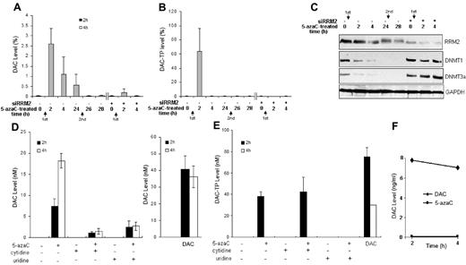 Figure 4. RRM2 is involved in the conversion of 5-azaC to DAC in MV4-11 cells. (A-C) 5-azaC rapidly converts to DAC and DAC-TP, which diminishes with time. Knock-down of RRM2 expression prevents 5-azaC conversion to DAC (A) and DAC-TP (B) and associated events (C). MV4-11 cells were transfected with siRRM2 or mock-transfected for 24 hours, followed by treatment with 10μM 5-azaC for 2-28 hours. The arrows indicate sequences of fresh addition of 5-azaC. The intracellular DAC and DAC-TP were extracted and quantified by LC-MS/MS. Cells treated with 10μM DAC for 2 hours serve as a positive control. Data are presented as a percentage of the positive controls. Knock-down of RRM2 expression inhibits 5-azaC–induced down-regulation of DNMT1 and DNMT3a (C). Western blot analysis shows that 5-azaC alone time-dependently decreases the protein levels of DNMT1 and DNMT3a, whereas RRM2 depletion by siRRM2 abolishes its effects. Experiments were repeated and the representative results are presented. (D-E) Conversion of 5-azaC to DAC is reduced by UCK inhibitors. MV4-11 cells were treated with 10μM 5-azaC for 2 or 4 hours. UCK was inhibited competitively by its natural substrates, cytidine or uridine. Intracellular DAC (D) and DAC-TP (E) levels were measured. Cells treated with 10μM DAC for 2 or 4 hours serve as positive controls. (F) Stability of DAC. MV4-11 cells in PBS were heat-inactivated at 100°C for 6 minutes and then exposed to 10μM 5-azaC or DAC for 2 or 4 hours at 37°C.