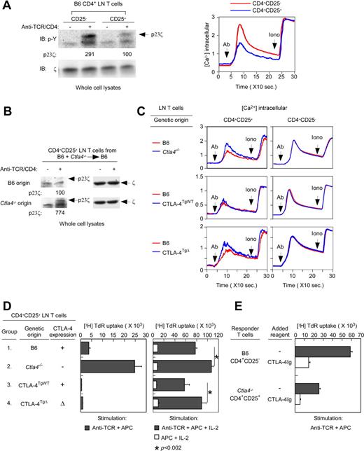 Figure 2. Effect of CTLA-4 on TCR signaling and anergy. (A) Impairment of TCR signaling in Tregs from normal B6 mice. In the left panel, whole-cell lysates from CD4+CD25− and CD4+CD25+ B6 lymph node T cells that were either unstimulated or stimulated by anti–TCR/CD4 cross-linking (in the absence of APCs) were blotted for p23 phospho-ζ (p23ζ) with a phospho-tyrosine (p-Y)–specific Ab. The p23ζ band intensity from anti-TCR/CD4–stimulated CD4+CD25+ T cells was set to 100. As an intrinsic loading control, membranes were also blotted for total ζ with a ζ-specific Ab. Data are representative of 3 independent experiments. In the right panel, calcium flux was induced in Indo-1–loaded CD4+CD25− and CD4+CD25+ B6 lymph node T cells by avidin-induced cross-linking of biotinylated anti-TCR/CD4 mAbs. Data are representative of 6 independent experiments. (B) TCR-induced ITAM phosphorylation in Tregs of different donor origin. Whole-cell lysates from CD4+CD25+ lymph node T cells of different origin from B6+Ctla4−/−→B6 mice that were either unstimulated or stimulated by anti–TCR/CD4 cross-linking (in the absence of APCs) were blotted for p23ζ. The p23ζ band intensity from anti–TCR/CD4–stimulated CD4+CD25+ T cells of B6 origin was set to 100. As an intrinsic loading control, membranes were also blotted for total ζ. Data are representative of 2 independent experiments from 20 mixed BM chimeras. (C) The CTLA-4 internal domain is responsible for TCR hyposignaling. TCR-induced calcium mobilization in peripheral T cells was induced in Indo-1–loaded CD4+CD25− and CD4+CD25+ lymph node T cells by avidin-induced cross-linking of biotinylated anti–TCR/CD4 mAbs or by ionomycin (in the absence of APC). In mixed-radiation BM chimeras, B6 donor origin T cells were identified as CD45.2− T cells, whereas Ctla4−/−, CTLA-4TgWT or CTLA-4TgΔ origin T cells were identified as CD45.2+. Data for each experimental group are representative of 4 independent experiments. (D) The CTLA-4 external domain induces Treg anergy. Tregs from the indicated populations of CD4+CD25+ lymph node T cells were sorted and stimulated by anti-CD3 (1 μg/mL) with APC (left panel) or by APC with rIL-2 (200 U/mL) with or without anti-CD3 (right panel). Tregs from Ctla4−/− and CTLA-4TgΔ origins were purified from mixed BM chimeras. Proliferation was measured by 3H-thymidine incorporation and mean cpm ± SD of triplicate wells are shown. Data are representative of 3 independent experiments. (E) B6 lymph node CD4+CD25− Tconv cells and Ctla4−/− origin Tregs from B6+Ctla4−/−→B6 mice were stimulated by anti-CD3 (1 μg/mL) and APCs in the presence or absence of CTLA-4Ig (10 μg/mL). Proliferation was measured by 3H-thymidine incorporation and mean cpm ± SD of triplicate wells are shown. Data are representative of 2 independent experiments.